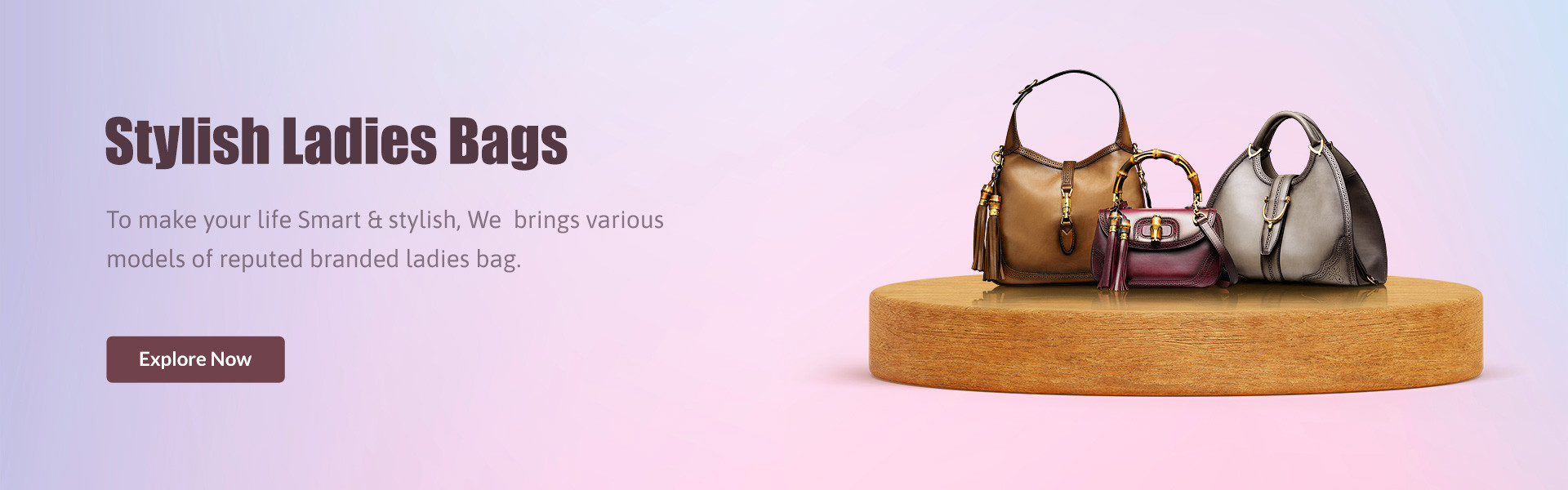 Stylish Woman Bag